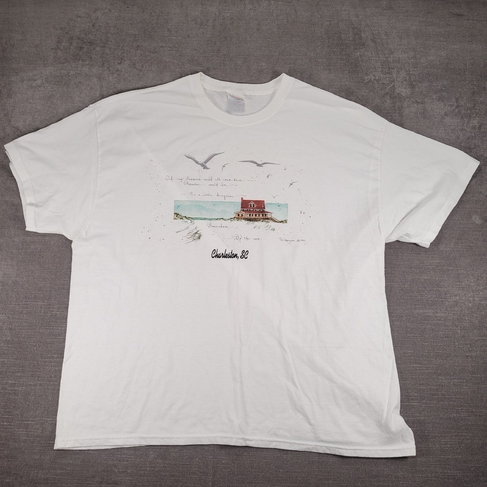 Hanes Charleston SC‎ T-Shirt Bungalow Graphic Print Heavyweight 2XL